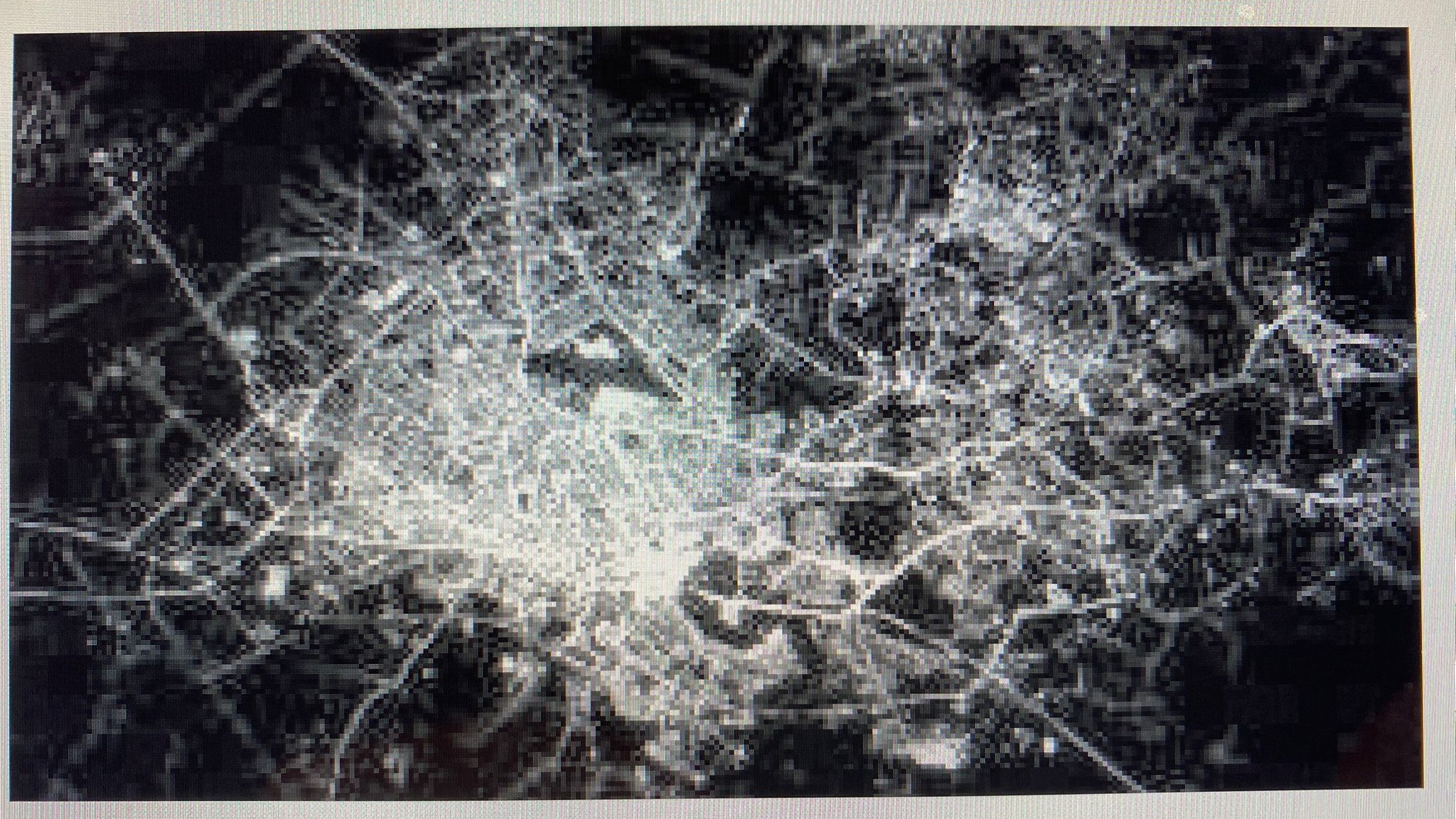 Scott Kelly-take foto HCM city.jpeg